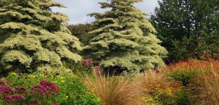 Garten-Wanderreise Devon