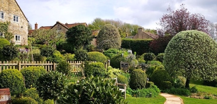 Frühlingsgärten in Surrey